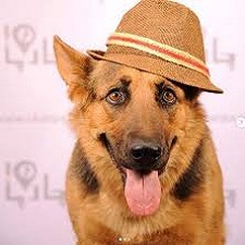 پیج اینستاگرام تیدا خانم